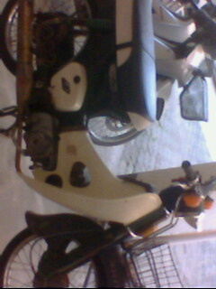 Photo by :: ����