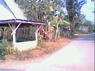 Photo by :: ���