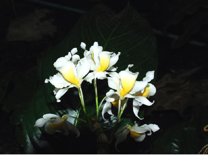 Photo by :: ����ǧ