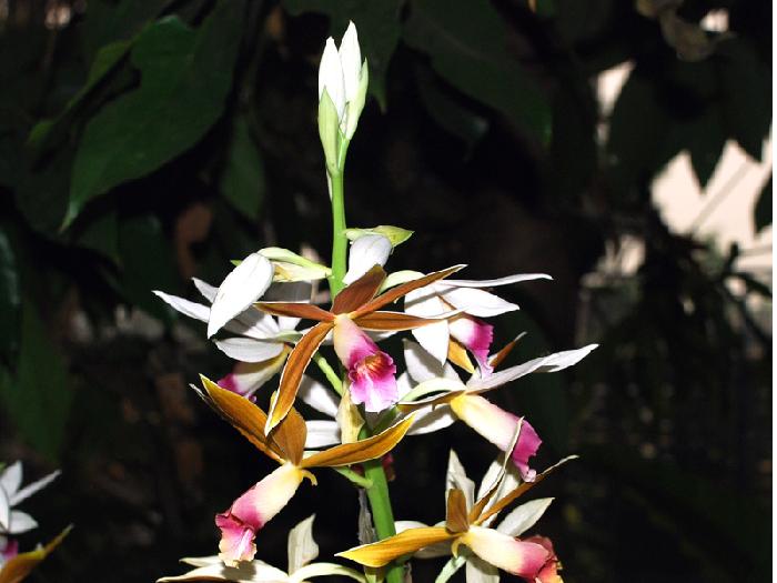 Photo by :: ����ǧ