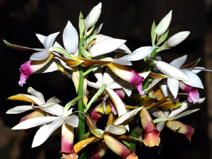 Photo by :: ����ǧ