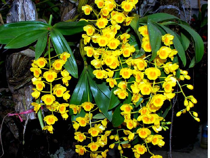 Photo by :: ����ǧ