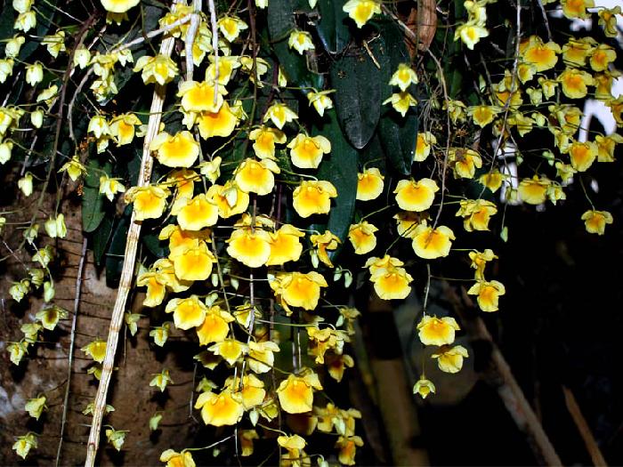 Photo by :: ���ŧ