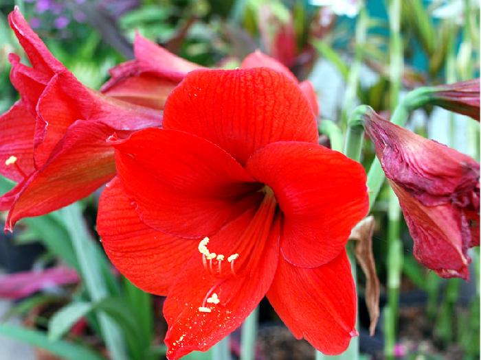 Photo by :: ����ǧ