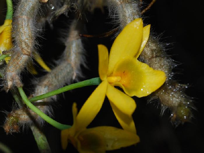 Photo by :: ����ǧ