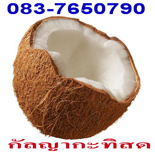 Photo by :: ��.053-771350