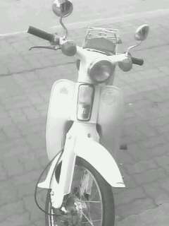 Photo by :: ��ҡ���