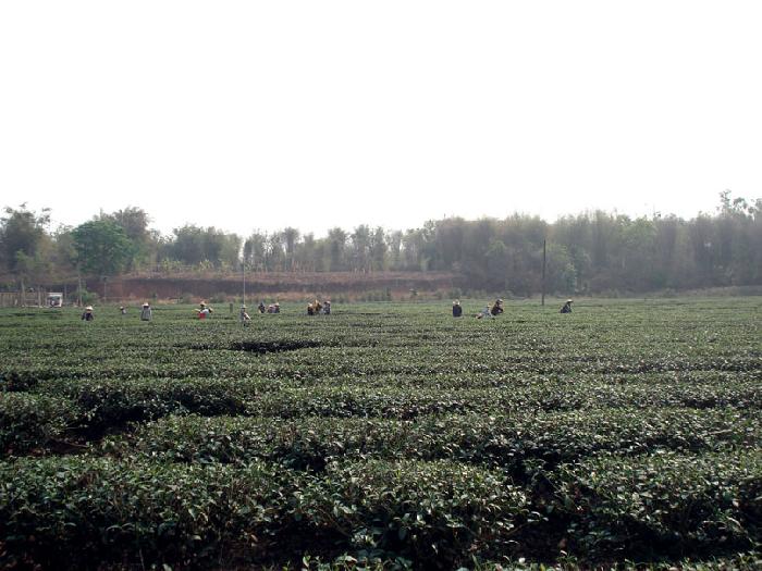 Photo by :: ����ǧ