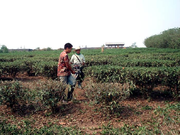 Photo by :: ����ǧ