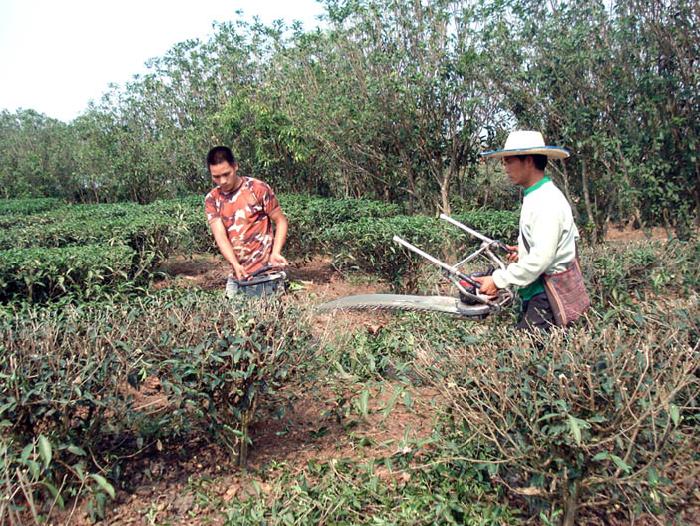 Photo by :: ����ǧ