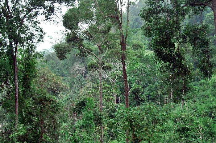 Photo by :: ����ǧ