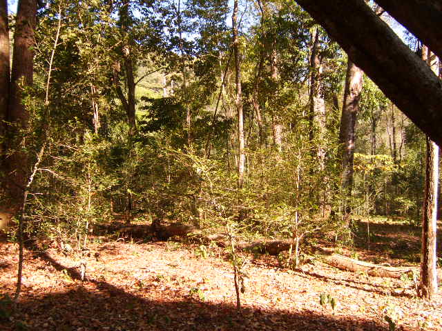 Photo by :: ����ǧ