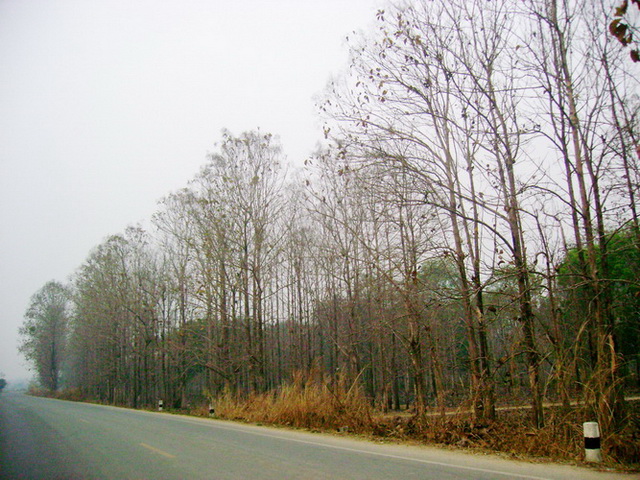 Photo by :: ปูนา