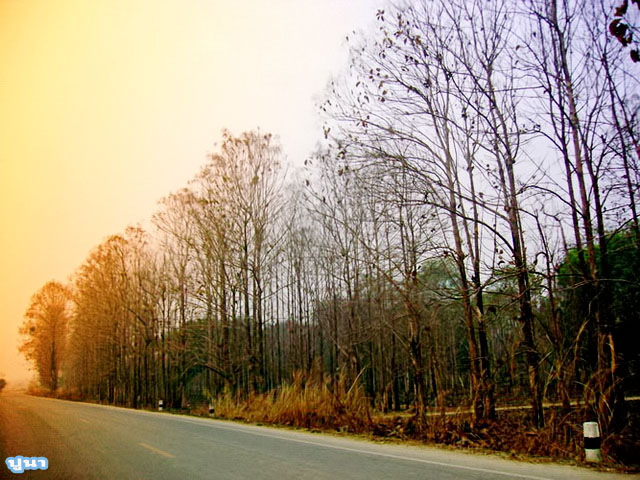 Photo by :: ไก่ครับ