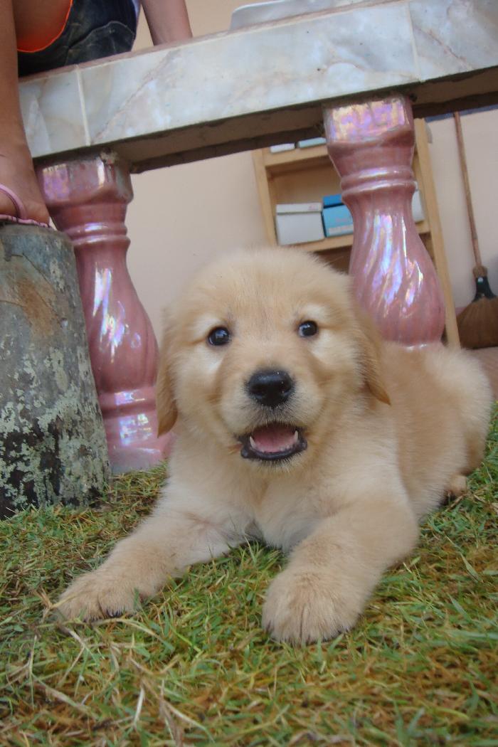 Photo by :: ���