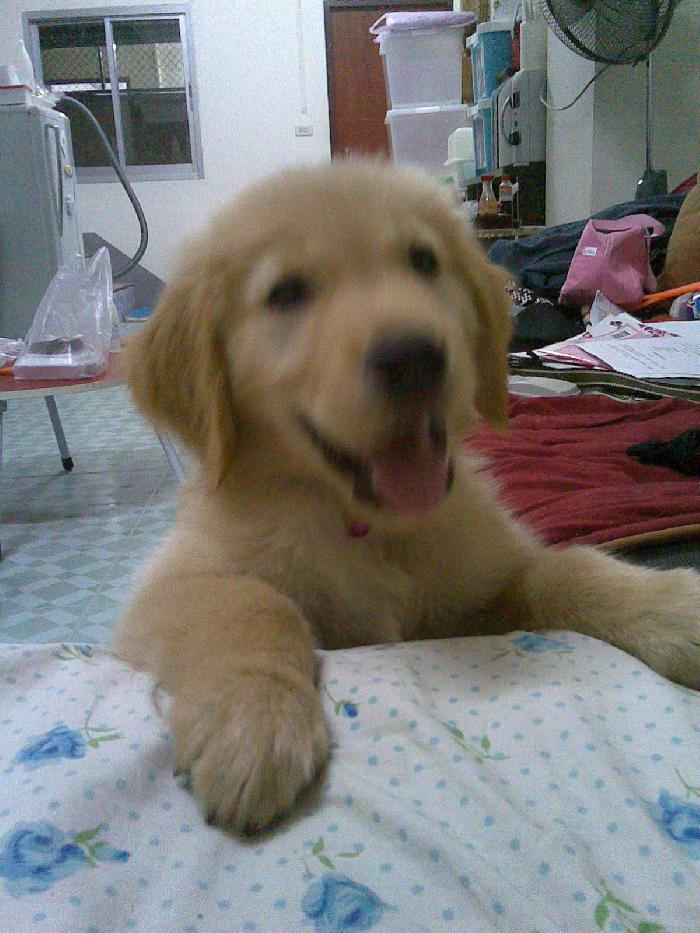 Photo by :: ���