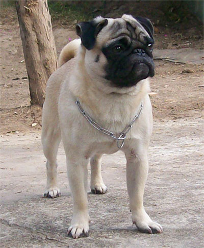 Photo by :: �鹹����§���