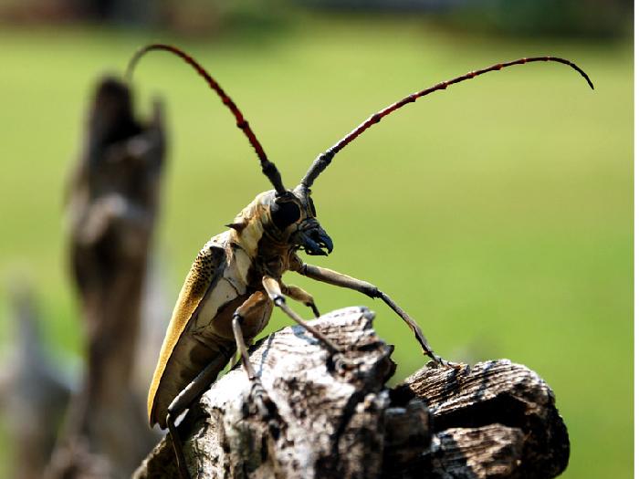 Photo by :: ����ǧ