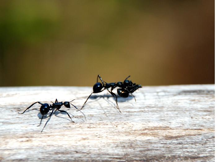 Photo by :: ����ǧ