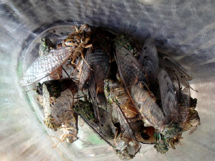 Photo by :: ����ǧ