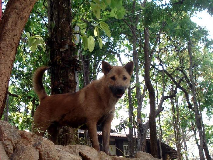 Photo by :: ����ǧ