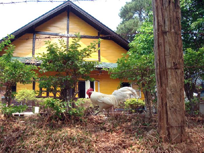 Photo by :: ����ǧ