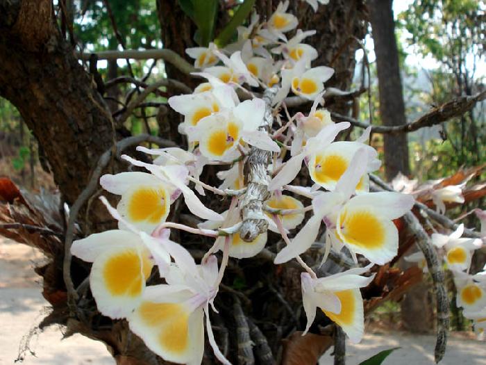 Photo by :: ����ǧ