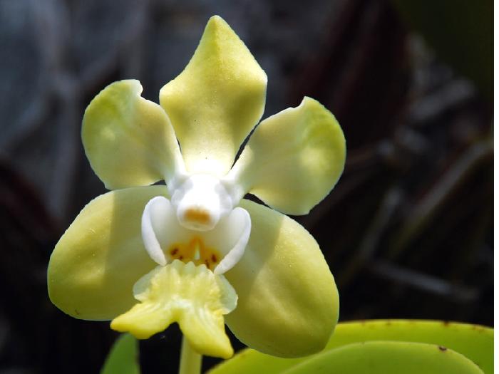 Photo by :: ����ǧ