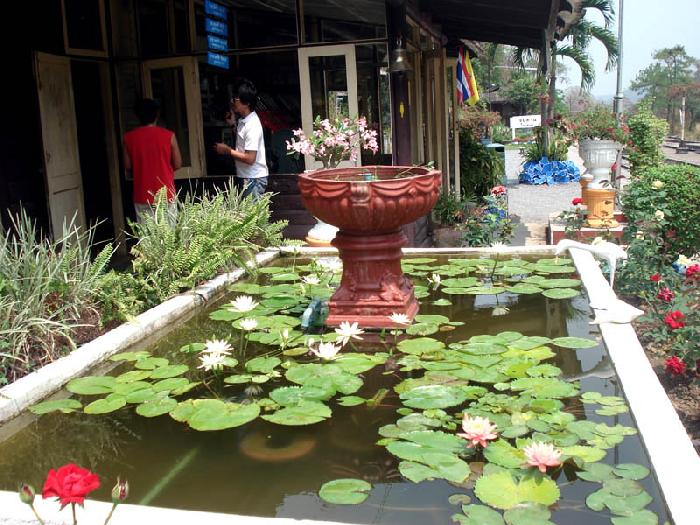 Photo by :: ����ǧ