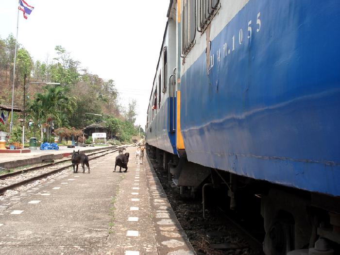 Photo by :: ����ǧ