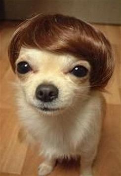 Photo by :: ����� �����˭ԧ