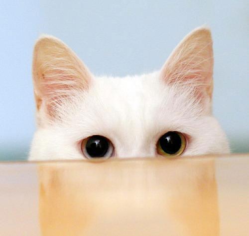 Photo by :: ����� �����˭ԧ