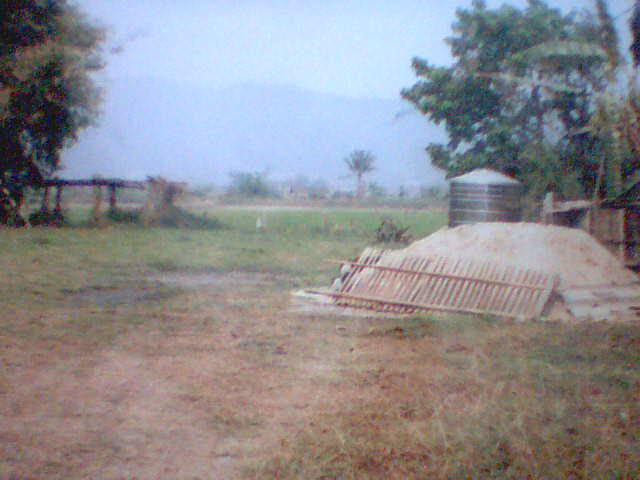 Photo by :: ���