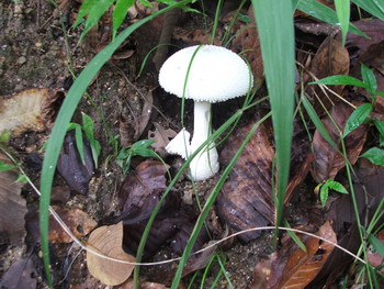 Photo by :: �͹����