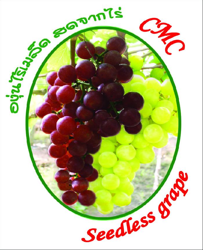 Photo by :: ���ͧ�� CMC