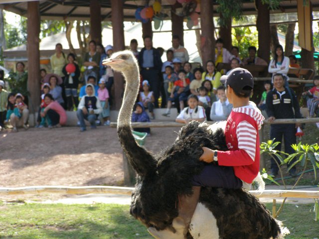 Photo by :: ���