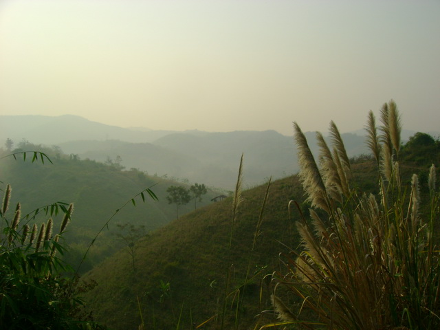 Photo by :: �ٹ�