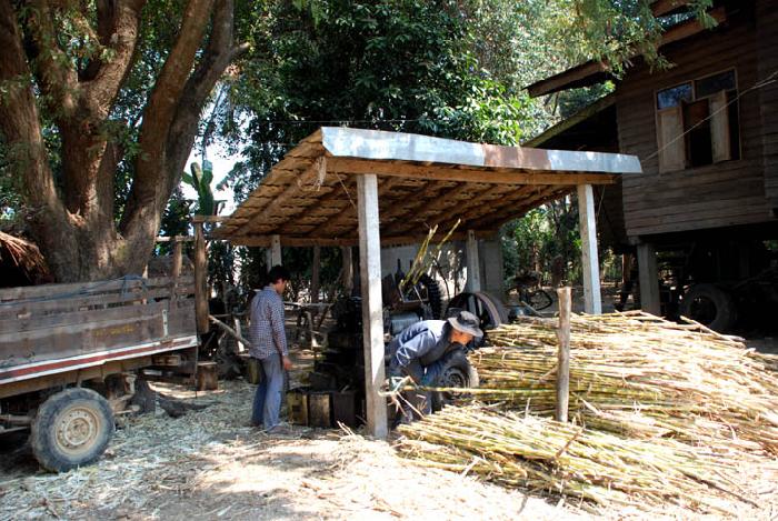 Photo by :: ����ǧ