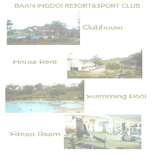 Photo by :: �تҵ�