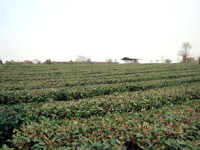 Photo by :: ����ǧ