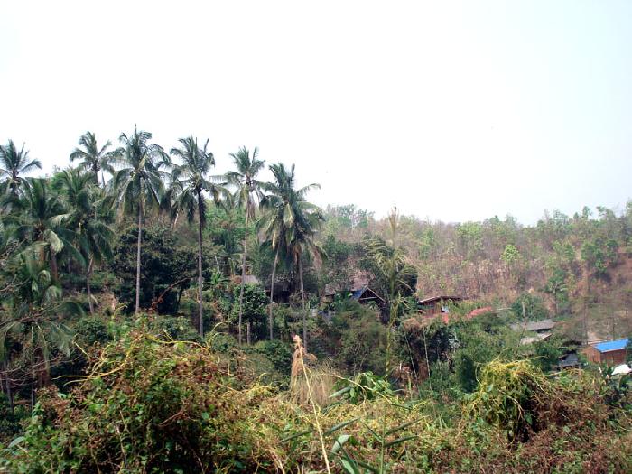 Photo by :: ����ǧ