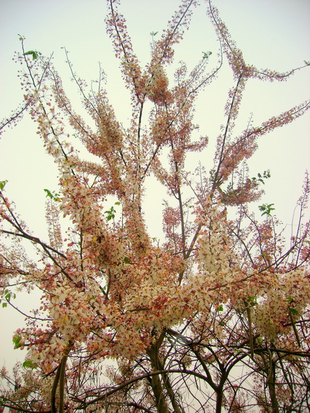 Photo by :: �ٹ�