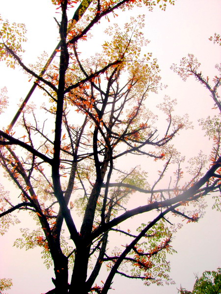 Photo by :: �ٹ�