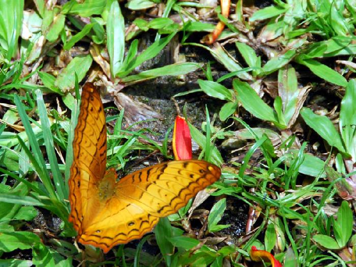 Photo by :: ����ǧ