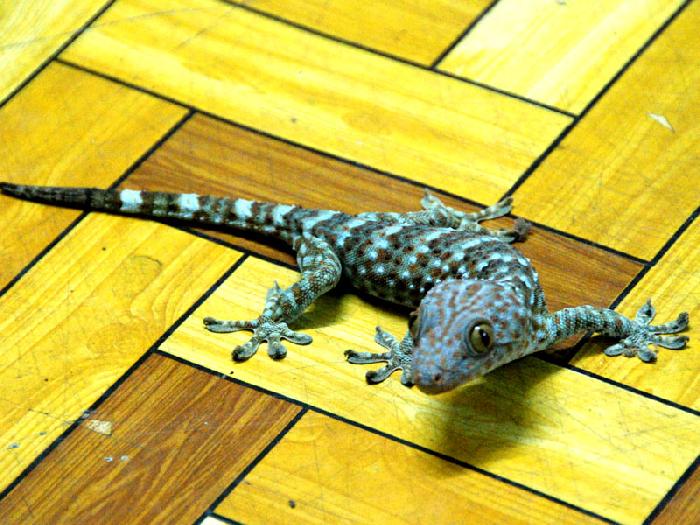 Photo by :: ����ǧ