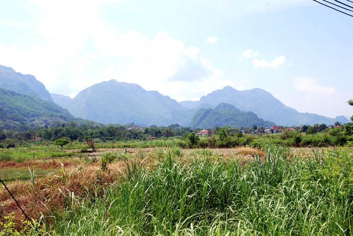 Photo by :: ����ǧ