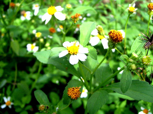 Photo by :: �����⢧