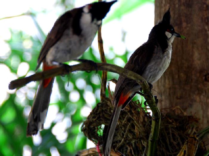 Photo by :: ����ǧ