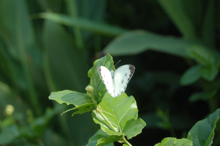 Photo by :: ����