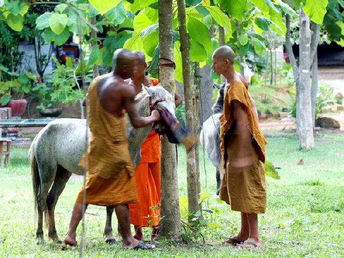 Photo by :: ����ǧ